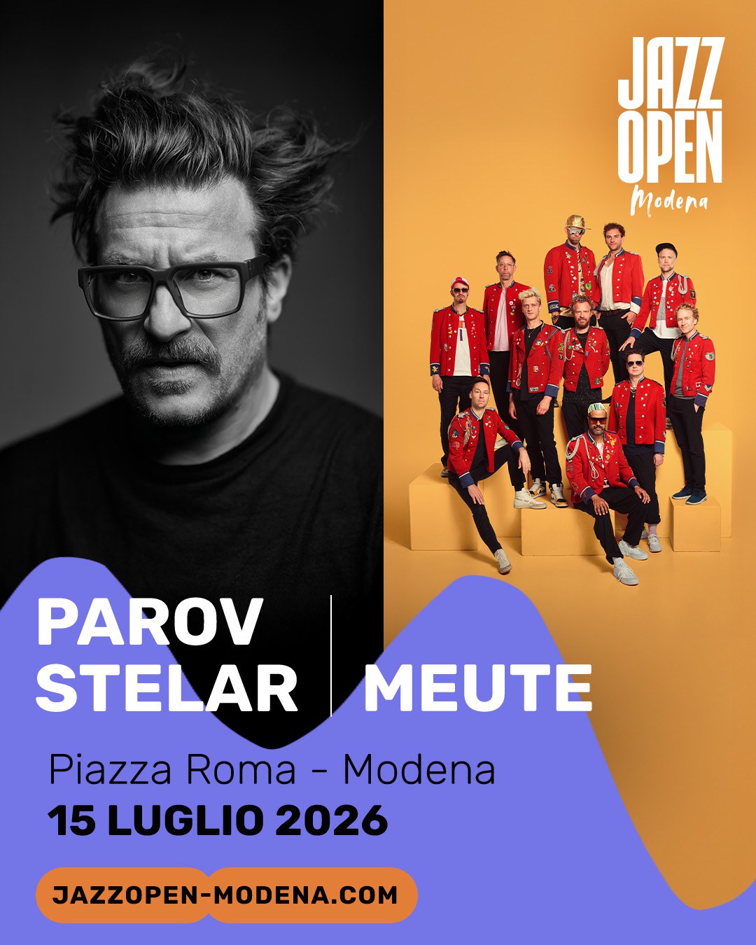 stelar-meute copia 3.jpg