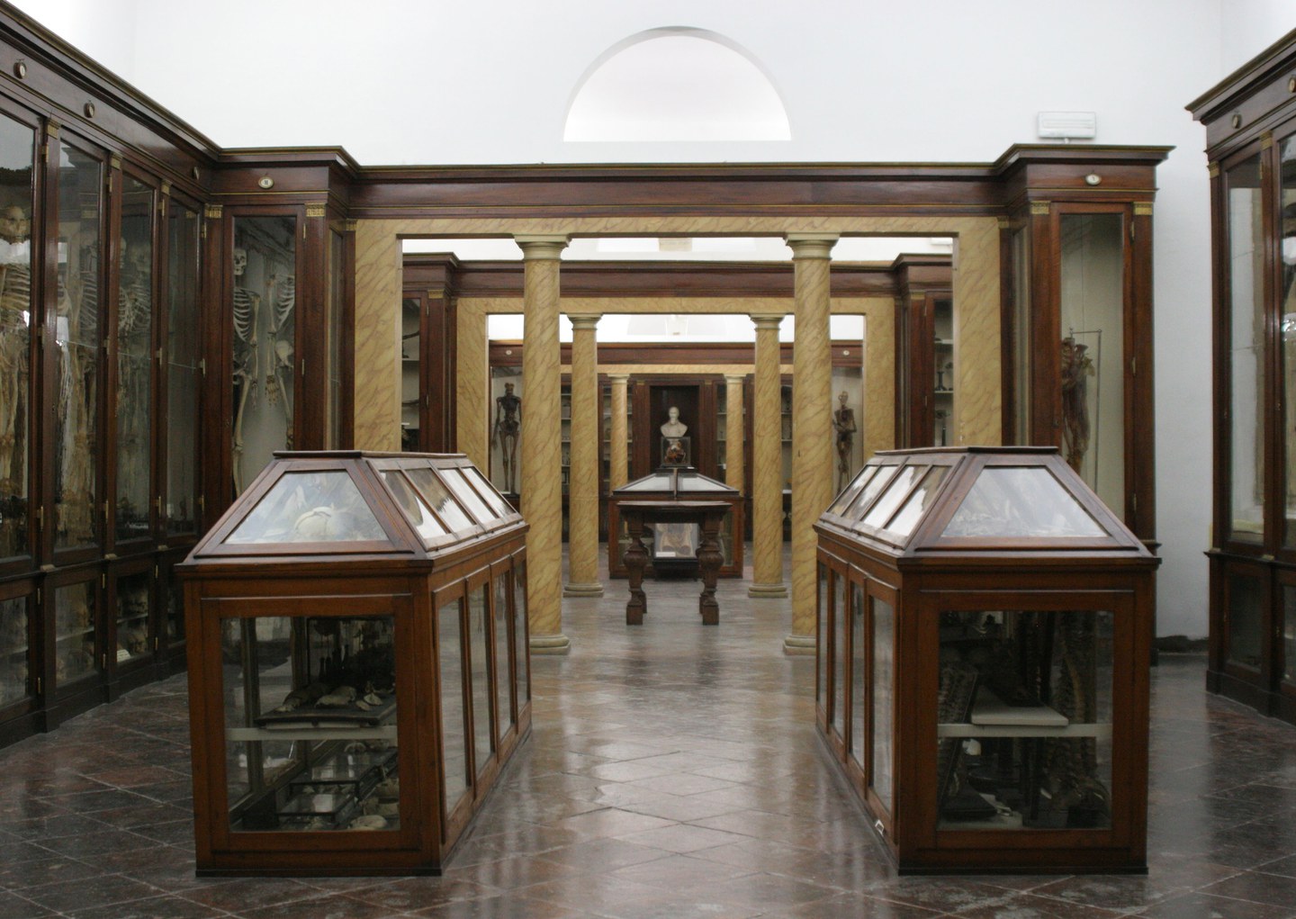 Museo di Anatomia e Teatro Anatomico