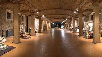 Museo Bertozzi & Casoni.JPG