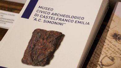 Castelfranco Museo Archeologico Libro.jpg