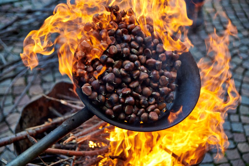 Tra Zocca, Fanano e Montecreto