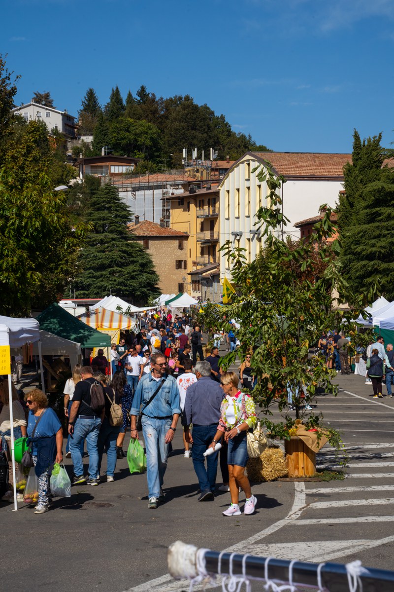 Tra Zocca, Fanano e Montecreto
